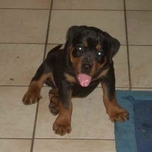 Meet your Posher, Katrina